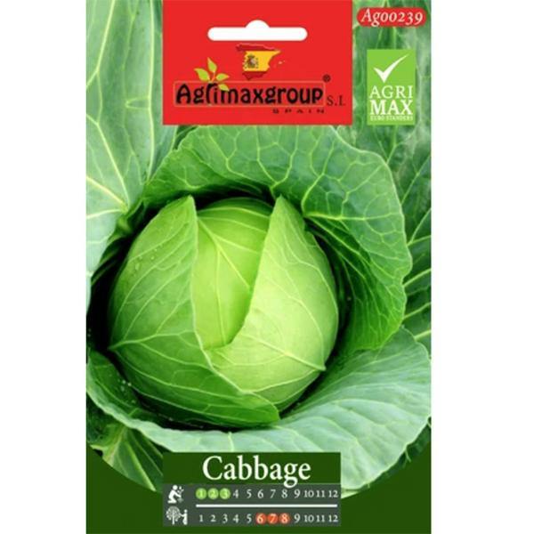 Cabbage Seeds
