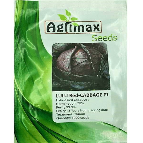 LULU Red Cabbage F1 Premium Quality Seeds