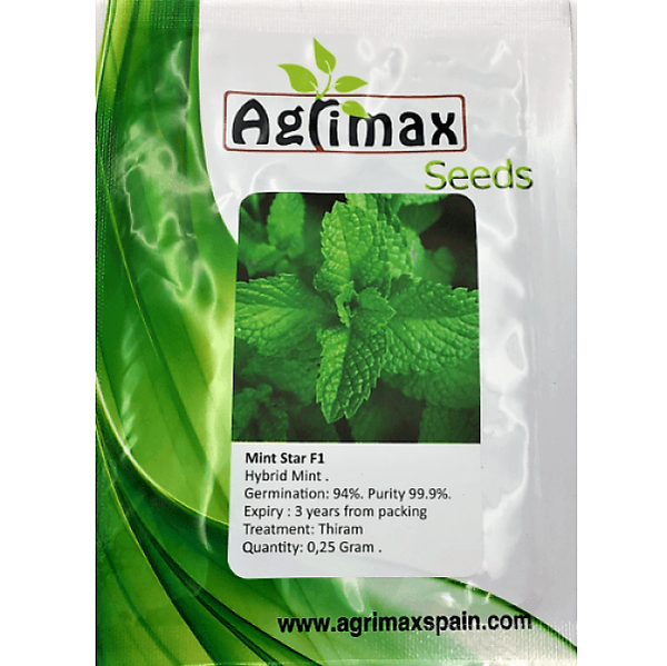 Mint F1 Premium Quality Seeds