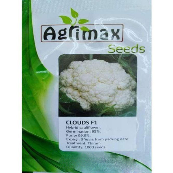 Cauliflower Clouds F1 Premium Seeds