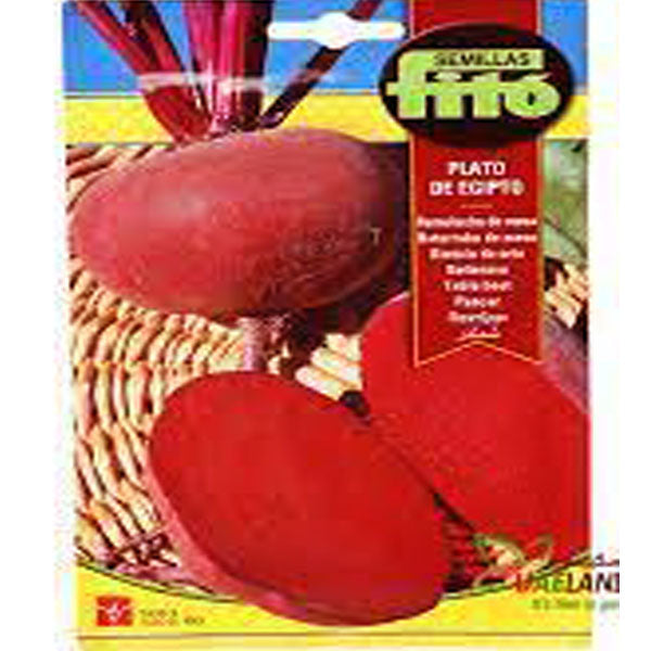Table Beet Plato de Egipto 13g