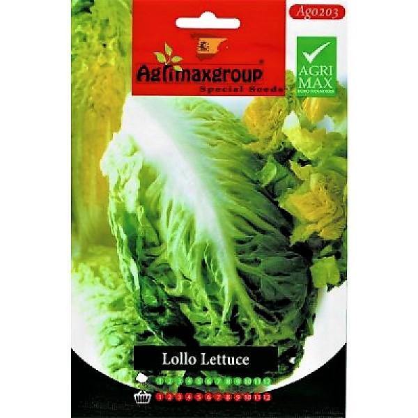 Lollo Lettuce Seeds