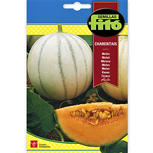 Melon Charentais Seeds