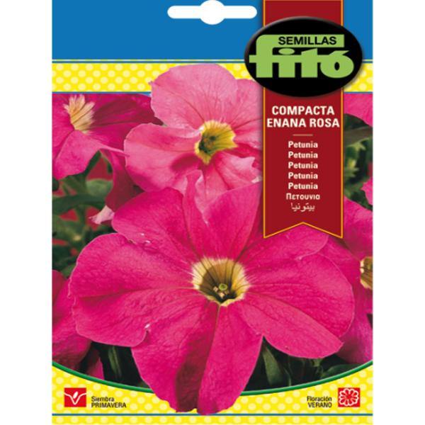 Petunia Dwarf, Compact Rose Seeds