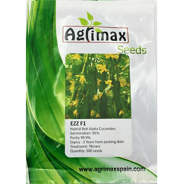 Cucumber Ezz F1 Premium Quality Seeds