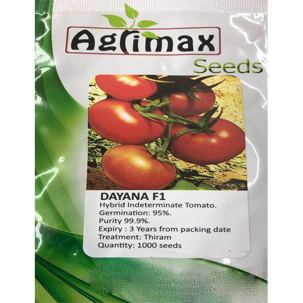 Dayana Indeterminate Tomato Premium Quality Seeds