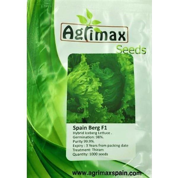 Lettuce Iceberg F1 Premium Seeds