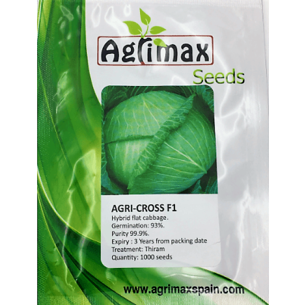 Cabbage Agri, Cross F1 Premium Quality Seeds