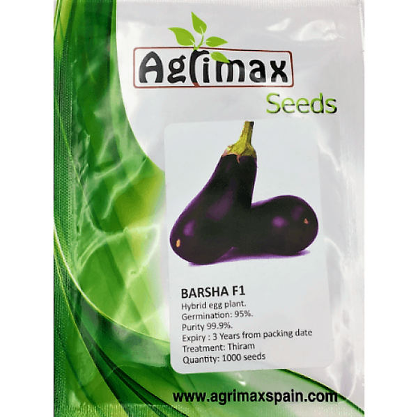 Egg Plant Barsha F1 Premium Quality Seeds
