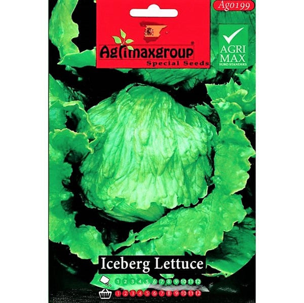 Iceberg Lettuce Seeds