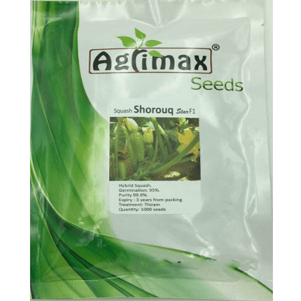 Squash F1 Premium Quality Seeds