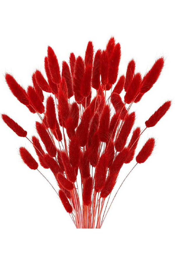 Dried Bunny Tails (Lagurus)