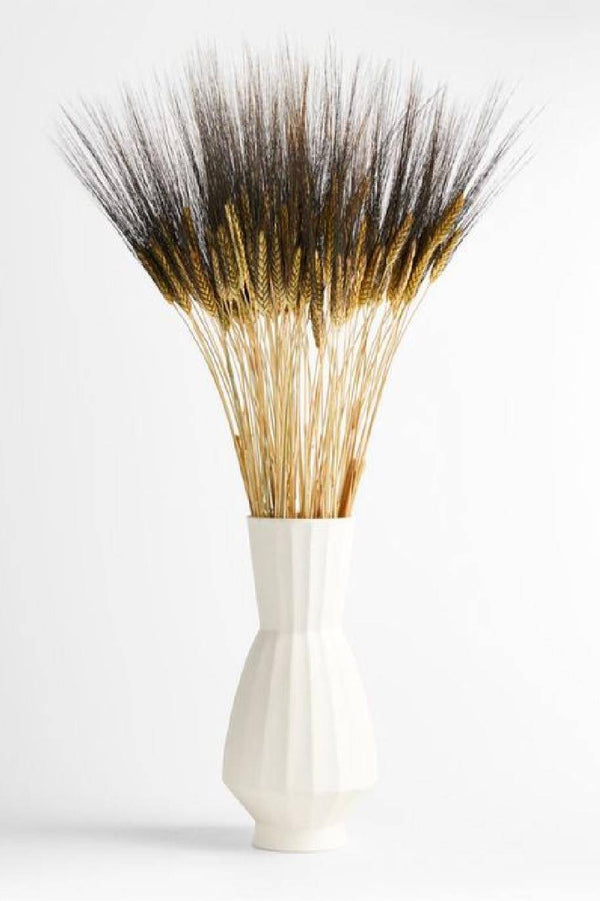 Dried Triticum (Wheat) - Blackbeard Bunch