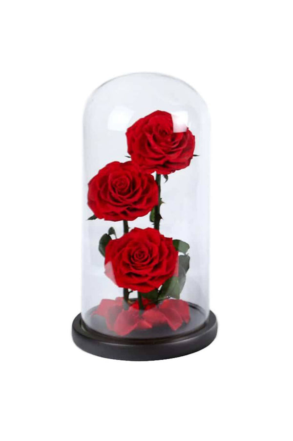 Forever Rose 3 In Glass Dome Red