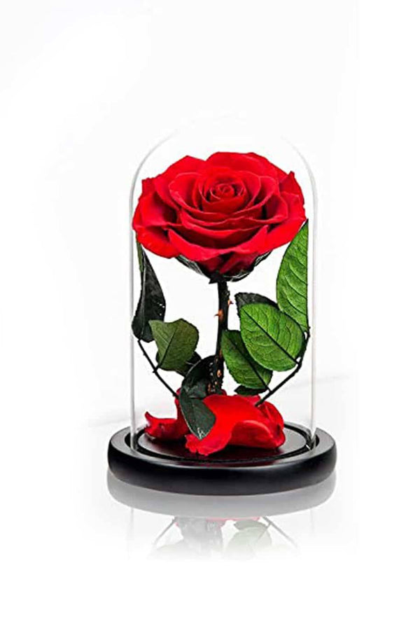 Forever Rose Single Red