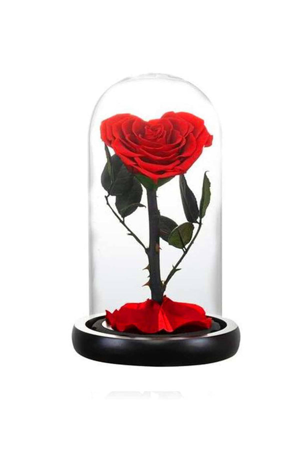 Heart Shape Forever Rose