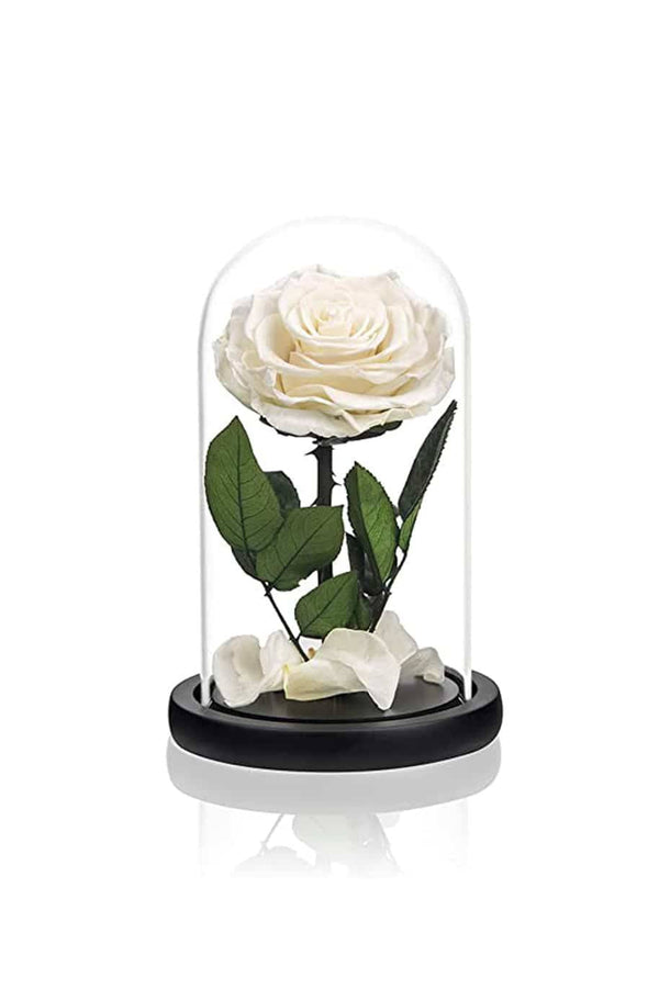 Forever Rose Single White