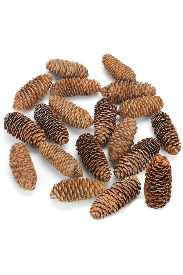 Natural Pine Cone