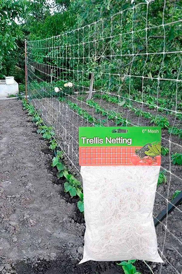 Trellis Netting
